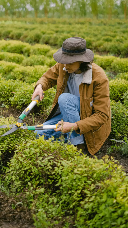 Do You Know About These Green Jobs?